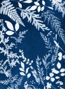 Sun printing, cyanotype process. Floral pattern on watercolor paper. Royalty Free Stock Photo