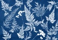 Sun printing, cyanotype process. Floral pattern on watercolor paper. Royalty Free Stock Photo