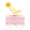 Sun protection with broad spectrum sunscreen vector on white background.