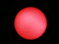 Sun with protuberances, amateur photo like that of NASA