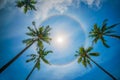 Sun rainbow circular halo phenomenon Royalty Free Stock Photo