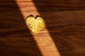 Sun ray illuminating yellow autumn leaf of heart shape on wooden background. Royalty Free Stock Photo