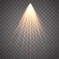 Sun rays with beams isolated on transparent background. Golden spotlight. Sun flash. Vector illustration Royalty Free Stock Photo