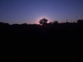 Sun rays behind a tree at a far distance