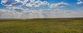 Sun rays in the blooming steppe.