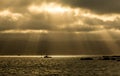 Sun Rays Boat