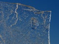 Sun rays caught in cracks in ice piece. Broken floe