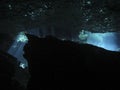 Sun rays entering the water in an underwater cave. Royalty Free Stock Photo