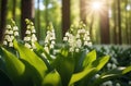 Sun rays fall on a beautiful spring blooming flower. Lily of the valley. Natural nature background with blooming Royalty Free Stock Photo