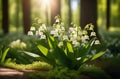 Sun rays fall on a beautiful spring blooming flower. Lily of the valley. Natural nature background with blooming Royalty Free Stock Photo