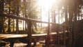 Sun rays falling on a wooden bridge deep in the forest