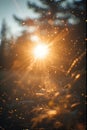 sun rays forming a star Royalty Free Stock Photo