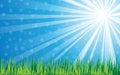 Sun rays with green grass on blue background, vector illustration Royalty Free Stock Photo