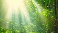 Sun rays illuminate the verdant jungle as they filter through the thick tree foliage, Mystical forest with a ray of sun