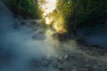 Sun rays pass through the fairy mist on the river. Dramatic colorful landscape