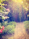 sun rays passing above A beautiful rustic overgrown, secret garden door at sunset.a Royalty Free Stock Photo