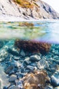 Sun rays and seaweed on stones in underwater. Clear water in sea, summer day Royalty Free Stock Photo