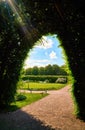 Sun rays shine through the green pergola in the public park Royalty Free Stock Photo