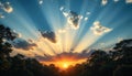 Sun Rays Shining Through Clouds Above Forest at Sunset Scenery Royalty Free Stock Photo