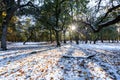 Sun rays, snow, shadows and trees Royalty Free Stock Photo