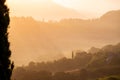 Sun rays spreading over the green lush trees in the small town