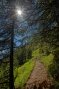 Sun rays through the trees and a mounatin path