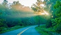 Sun rays through trees on road Royalty Free Stock Photo