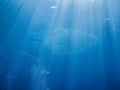 Sun rays under surface of Red Sea, Aqaba, Jordan