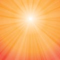 Sun Rays Vector