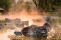 Sun reflecing on the Hot spring at national park during sunrise Royalty Free Stock Photo