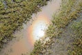 The sun is reflected in a puddle in the water