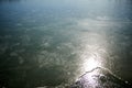 Sun reflecting in surface of frozen water Royalty Free Stock Photo