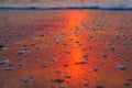 Sun reflecting in water foam Royalty Free Stock Photo