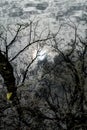 Sun Reflection in Spooky Eerie Lake in Autumn