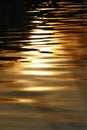 Sun reflection on the water surface Royalty Free Stock Photo