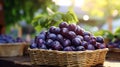 Sun ripened plums presented in appealing and abundant baskets