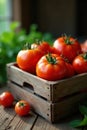Sun ripened tomatoes in rustic crate, wooden table, vegetable, ripe Royalty Free Stock Photo