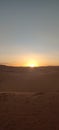 Sun rise desert
