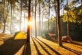 Sun rise at Pang-ung, Pine forest in Thailand