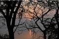 Sun rise at Thol Wildlife Sanctuary Royalty Free Stock Photo