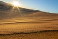 Sun rises above Sossusvlei dunes casting lens flare over landscape. Royalty Free Stock Photo