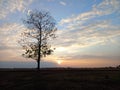 Sunrise on farmland