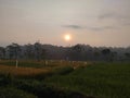 the sun rises behind the mountains in the rice fields Royalty Free Stock Photo