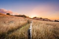 Foggy sunrise over Mount Tamalpais Royalty Free Stock Photo