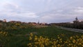 The sun rises over the dike along the deringvaart of the Zuidplaspolder in the town of Nieuwerkerk aan den IJssel in the Netherlan