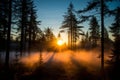 the sun rises over a foggy forest in the morning