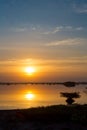 Sun rises over reflecting pond and small mangrove bush