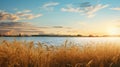 Sunlit Wheat Field And Lagoon: Photorealistic Golden Brown Hay Stock Photo