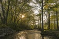 The sun rises over a small creek in Cades Cove. Royalty Free Stock Photo