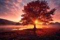 the sun rises over a tree in the middle of a foggy field